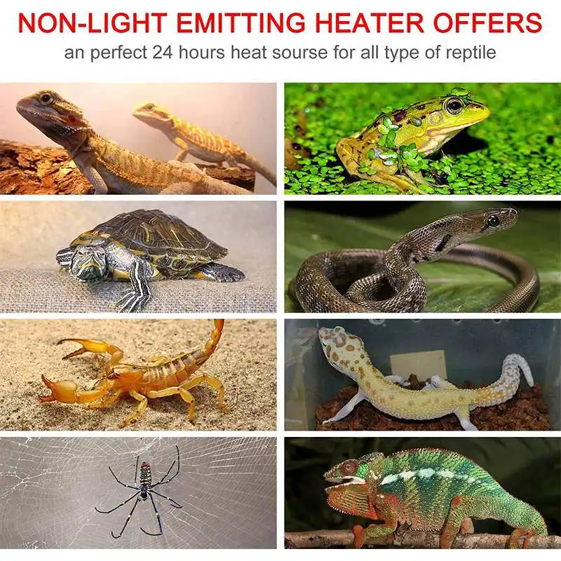 5W-20W 110V Heating Warm Pad f - đánh giá và giá Reptile Heating Mat
