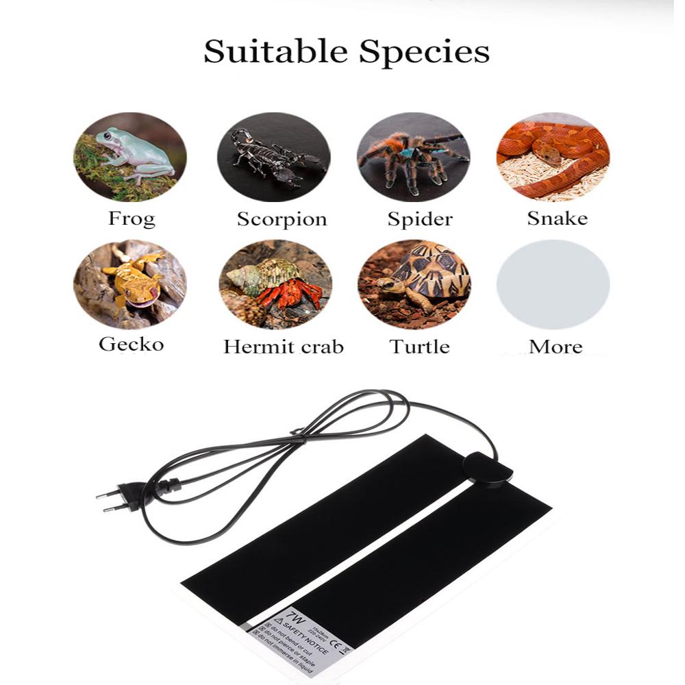 AC110V~240V Reptiles Incubator - đánh giá và giá Reptile Heating Mat